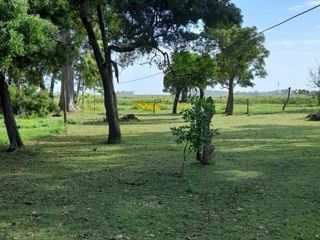 Foto 7 de AM - Campo 7 Has - Veronica Punta Indio