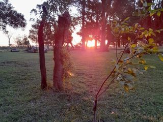 Foto 6 de AM - Campo 7 Has - Veronica Punta Indio