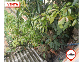 Foto 12 de CASA BIFAMILIAR DE DOS PISOS DE 125MTS