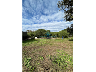 Foto 9 de VENTA-GRAN LOTE 1053M2-SINSACATE