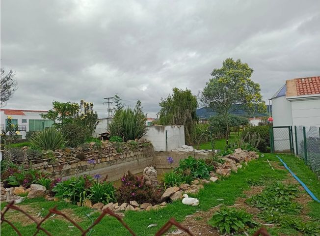 place photo 70