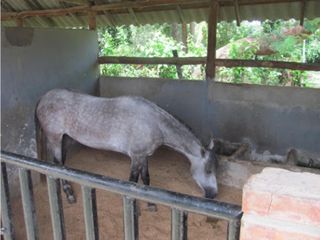 Finca en Venta en Cartagena de Indias - TURBACO