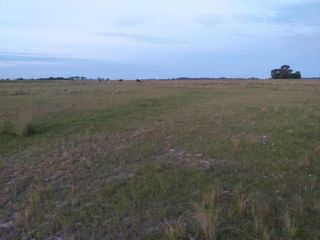 Foto 5 de CAMPO en Alquiler sobre Ruta a 131 km de CABA