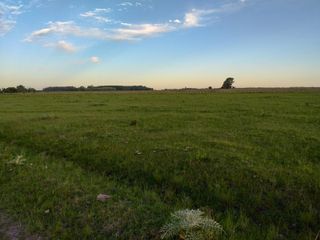 Foto 2 de CAMPO en Alquiler sobre Ruta a 131 km de CABA