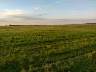 Foto 8 de CAMPO en Alquiler sobre Ruta a 131 km de CABA