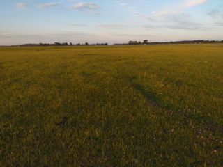 Foto 4 de CAMPO en Alquiler sobre Ruta a 131 km de CABA