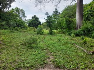 Foto 5 de LOTES PARA LA VENTA CONJUNTO MANANTIAL DE PEÑALISA, RICAURTE C/MARCA