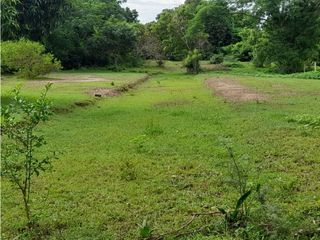Foto 17 de LOTES PARA LA VENTA CONJUNTO MANANTIAL DE PEÑALISA, RICAURTE C/MARCA