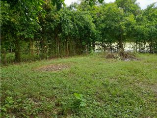 Foto 16 de LOTES PARA LA VENTA CONJUNTO MANANTIAL DE PEÑALISA, RICAURTE C/MARCA