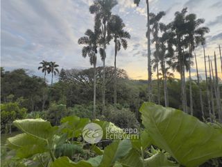 Casa en conjunto en arriendo amoblada, El Rosario, Manizales