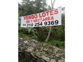Foto 1 de LOTE EN MESITAS DEL COLEGIO DE UNA HECTAREA
