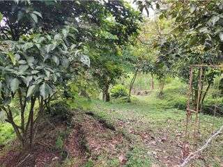Foto 23 de LOTE EN MESITAS DEL COLEGIO DE UNA HECTAREA