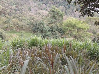 Foto 4 de LOTE EN MESITAS DEL COLEGIO DE UNA HECTAREA