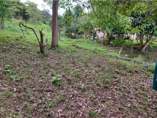 Foto 50 de LOTE EN MESITAS DEL COLEGIO DE UNA HECTAREA
