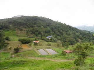 Vendo Finca en Supatá Cundinamarca.