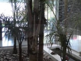 Foto 14 de EXCELENTE CASA AL LAGO EN SANTA BÁRBARA. MUY BUENA CALIDAD DE CONSTRUCCION!