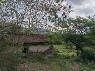 FINCA en VENTA en Yotoco YOTOCO