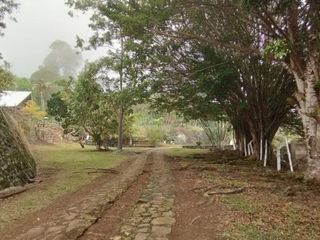 FINCA en VENTA en Yumbo Dapa