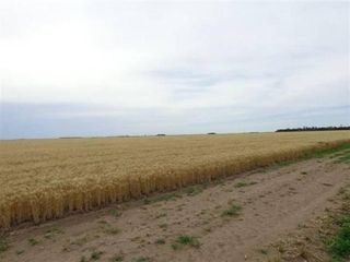Foto 3 de Terreno en Alquiler en Alpachiri, Guatrache, La Pampa, Argentina