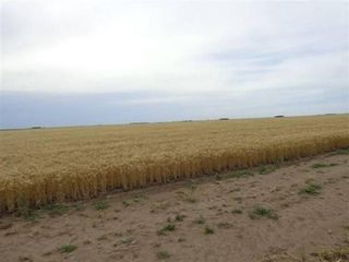Foto 1 de Terreno en Alquiler en Alpachiri, Guatrache, La Pampa, Argentina