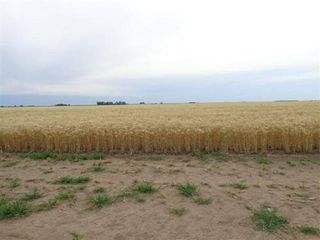 Foto 10 de Terreno en Alquiler en Varela, San Luis Capital, San Luis, Argentina