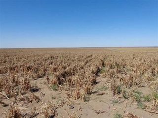Foto 5 de Terreno en Alquiler en Varela, San Luis Capital, San Luis, Argentina