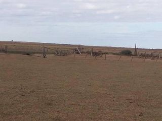 Foto 3 de Terreno en Alquiler en Batavia, Gobernador Dupuy, San Luis, Argentina