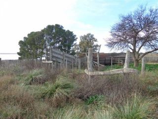 Foto 2 de Casa en Alquiler en Gral. Manuel Campos, Guatrache, La Pampa, Argentina