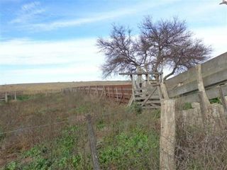 Foto 3 de Casa en Alquiler en Gral. Manuel Campos, Guatrache, La Pampa, Argentina