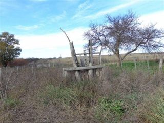 Foto 4 de Casa en Alquiler en Gral. Manuel Campos, Guatrache, La Pampa, Argentina