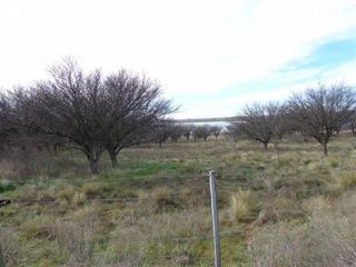 Foto 6 de Casa en Alquiler en Gral. Manuel Campos, Guatrache, La Pampa, Argentina