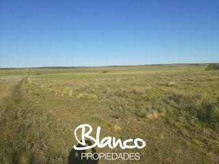 Foto 1 de Terreno en Venta en La Vitícola, Bahia Blanca, Resto de la Provincia, Buenos Aires, Argentina