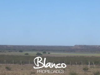 Foto 6 de Terreno en Venta en La Vitícola, Bahia Blanca, Resto de la Provincia, Buenos Aires, Argentina