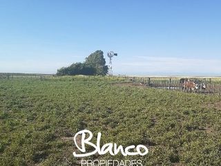 Foto 3 de Terreno en Venta en La Vitícola, Bahia Blanca, Resto de la Provincia, Buenos Aires, Argentina