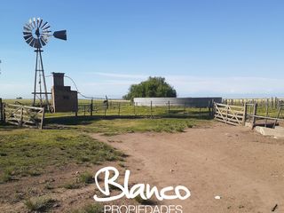 Foto 5 de Terreno en Venta en La Vitícola, Bahia Blanca, Resto de la Provincia, Buenos Aires, Argentina