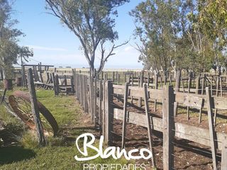 Foto 7 de Terreno en Venta en La Vitícola, Bahia Blanca, Resto de la Provincia, Buenos Aires, Argentina