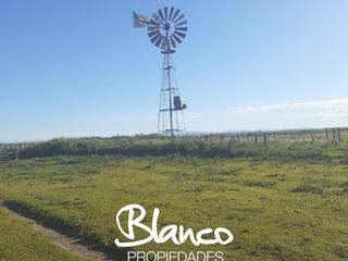 Foto 2 de Terreno en Venta en La Vitícola, Bahia Blanca, Resto de la Provincia, Buenos Aires, Argentina