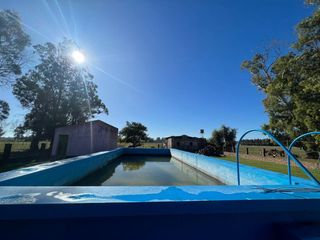 Foto 23 de Casa en venta - 3 Dormitorios 2 Baños - 130.000Mts2 - Verónica