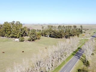 Foto 2 de Casa en venta - 3 Dormitorios 2 Baños - 130.000Mts2 - Verónica