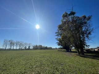 Foto 25 de Casa en venta - 3 Dormitorios 2 Baños - 130.000Mts2 - Verónica