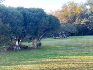 Foto 6 de 2x1 Chacras Construidas con Bosque Quebrado Unico.