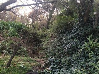 Foto 20 de 2x1 Chacras Construidas con Bosque Quebrado Unico.