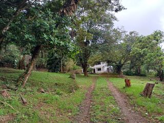 Venta Casa Finca En Dapa