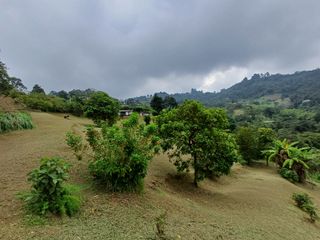 Venta Finca En Dapa Miravalle