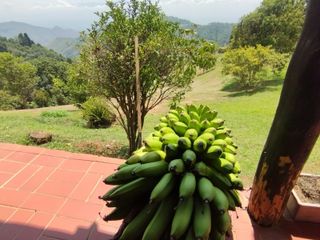 Venta Finca En Dapa Miravalle