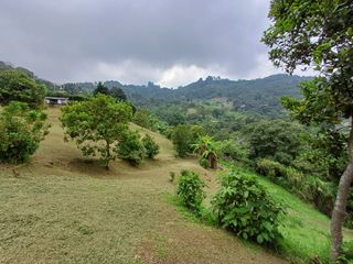 Venta Finca En Dapa Miravalle