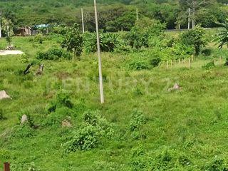 Foto 7 de Increíble oportunidad venta de lote en Tocaima