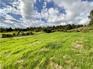 Venta Lote Parcelacion Alto Palmas (Envigado)