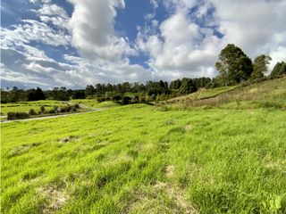 Venta Lote Parcelacion Alto Palmas (Envigado)