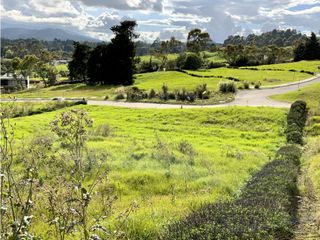 Venta Lote Parcelacion Alto Palmas (Envigado)